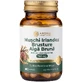 Irish Moss, Burdock, and Brown Algae 750 mg — 60 capsules for digestion, gut flora, natural detoxification, and metabolism | Traditional Herbs