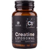 Liposomales Kreatin: 120 Kapseln – für Muskelaufbau, Kraft und Fortschritte im Fitnessstudio