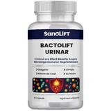 BactoLift Urinary: Nahrungsergänzungsmittel bei Harnwegsinfektionen auf Basis von 4 ätherischen Ölen (Oregano, Thymian, Nelken und Teebaum) – 20 Kapseln – BactoLift