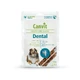 Canvit