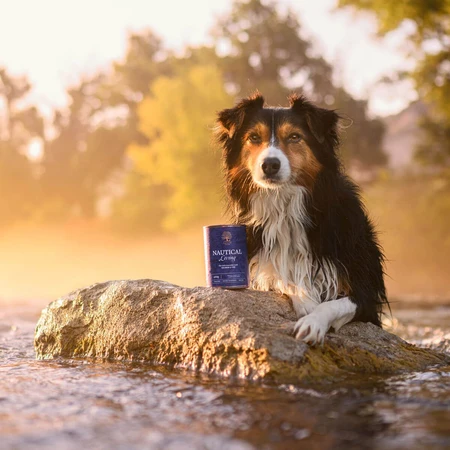 ESSENTIAL Nautical Living, XS-XL, Salmon and Cod, Grain-Free Wet Dog Food (Pâté), 400g
