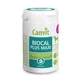 CANVIT Biocal Plus Maxi, M-XL, complément alimentaire pour la santé des articulations et des os chez le chien, flacon de 230 g