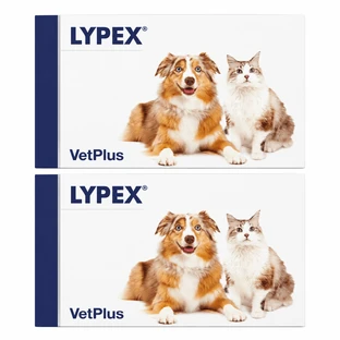 Lypex, 2x60 cápsulas, VetPlus