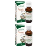 Giardinophyt, 2x30 ml, Plant Extrakt