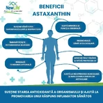 Astaxanthin, 8 mg, 2x60 softgels, NewLife+