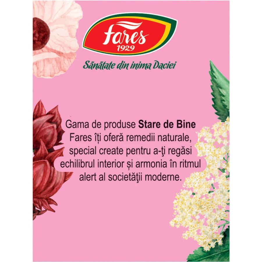 Silueta perfectǎ 1 Tea, purification and drainage M123, 5x20 sachets, Fares