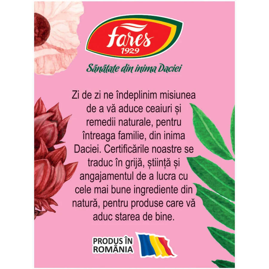 Silueta perfectǎ 1 Tea, purification and drainage M123, 5x20 sachets, Fares