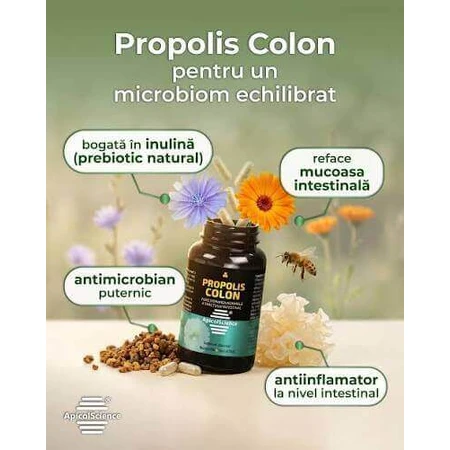 Propolis colon, 2x60 capsules, Apicolscience