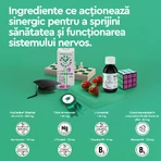 Brain-Nutrition, 2x150 ml, Secom