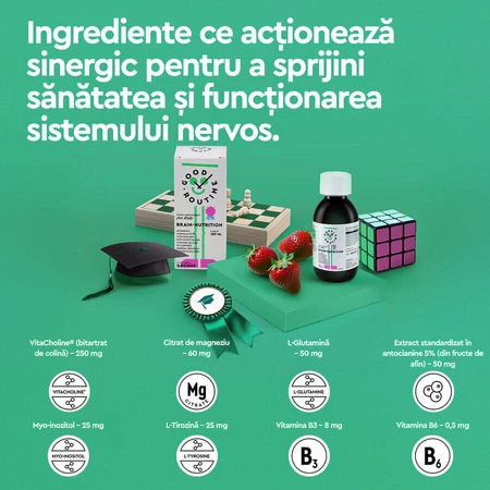 Brain-Nutrition, 2x150 ml, Secom