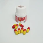Hilcon UP, 16 Kapseln, Web-Guru