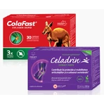 Set Celadrin Extract Forte + ColaFast Colagen Rapid, Good Days Therapy
