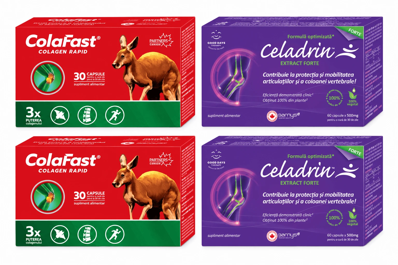 Celadrin Extract Forte + ColaFast Rapid Collagen Set, Good Days Therapy