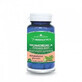 Momordica bitter cucumber extract, 30cps - Herbagetica