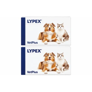 Lypex dla psów i kotów, 2x60 kapsułek