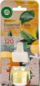 Airwick Air freshener for electric anti-smoking machine, 1 pc