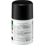 Alverde Naturkosmetik MEN Q10 Actief Vloeibaar, 50 ml Alverde Naturkosmetik MEN Q10 Actief Vloeibaar, 50 ml