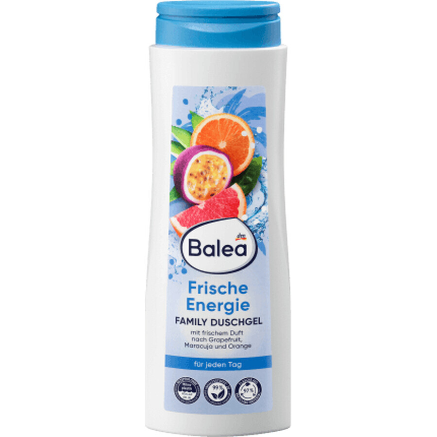 Buy Balea Family Frische Energy Shower Gel, 500 ml Balea Family Frische Energy Shower Gel, 500 ml