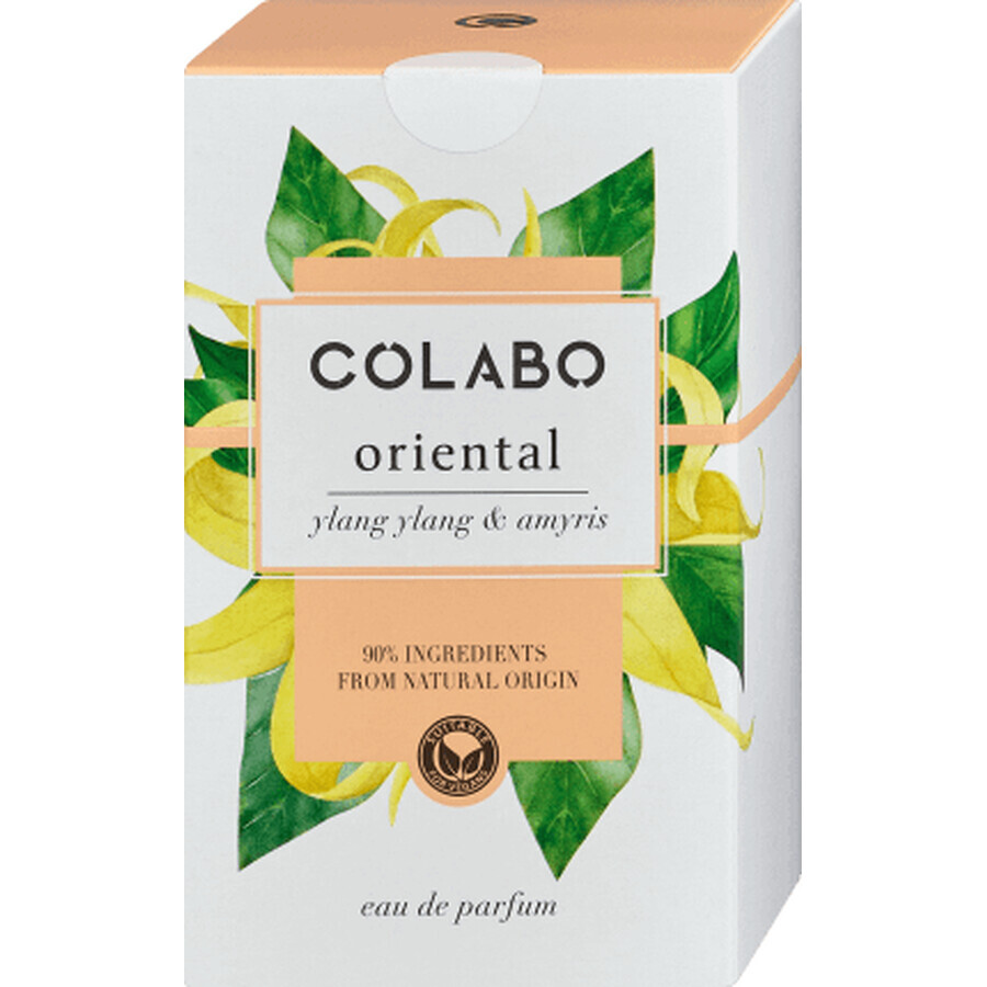 Buy Colabo Oriental Perfume, 100 ml Colabo Oriental Perfume, 100 ml