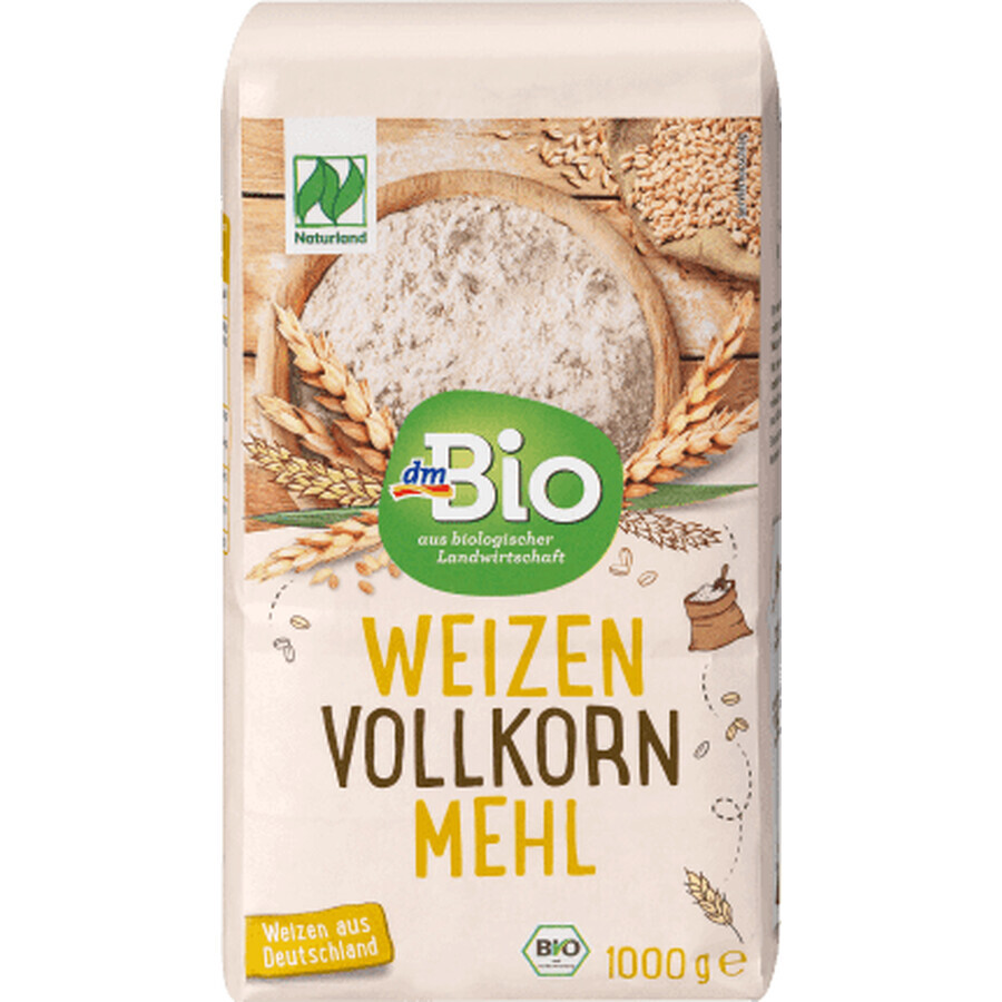 Acquista DmBio Farina Integrale, 1 Kg DmBio Farina Integrale, 1 Kg