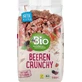 DmBio Musli croquant aux baies ECO, 500 g