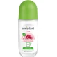 Elmiplant Deodorant Roll On Rose, 50 ml