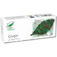 Cruisin, 30 capsules, Pro Natura