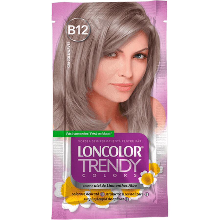 Buy Loncolor TRENDY Semi-permanent paint grey B12, 1 pc Loncolor TRENDY Semi-permanent paint grey B12, 1 pc