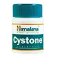 Cystone, 60 tablet, Himalaya