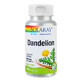 Dandelion (Papadie) 520 mg Solaray, 100 capsules, Secom