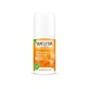 Deo Roll-On Catina, 50 ml, Weleda