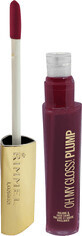 Rimmel London Lip Gloss OH MY GLOSS! PLUMP 841 Bittersweet Plum, 1 pc
