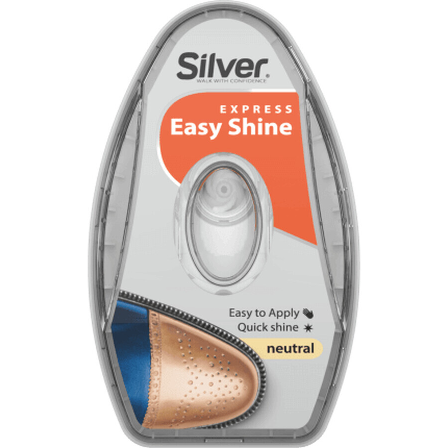 Acquista Argento Spugna argento con riserva di silicone incolore, 1 pz Argento Spugna argento con riserva di silicone incolore, 1 pz