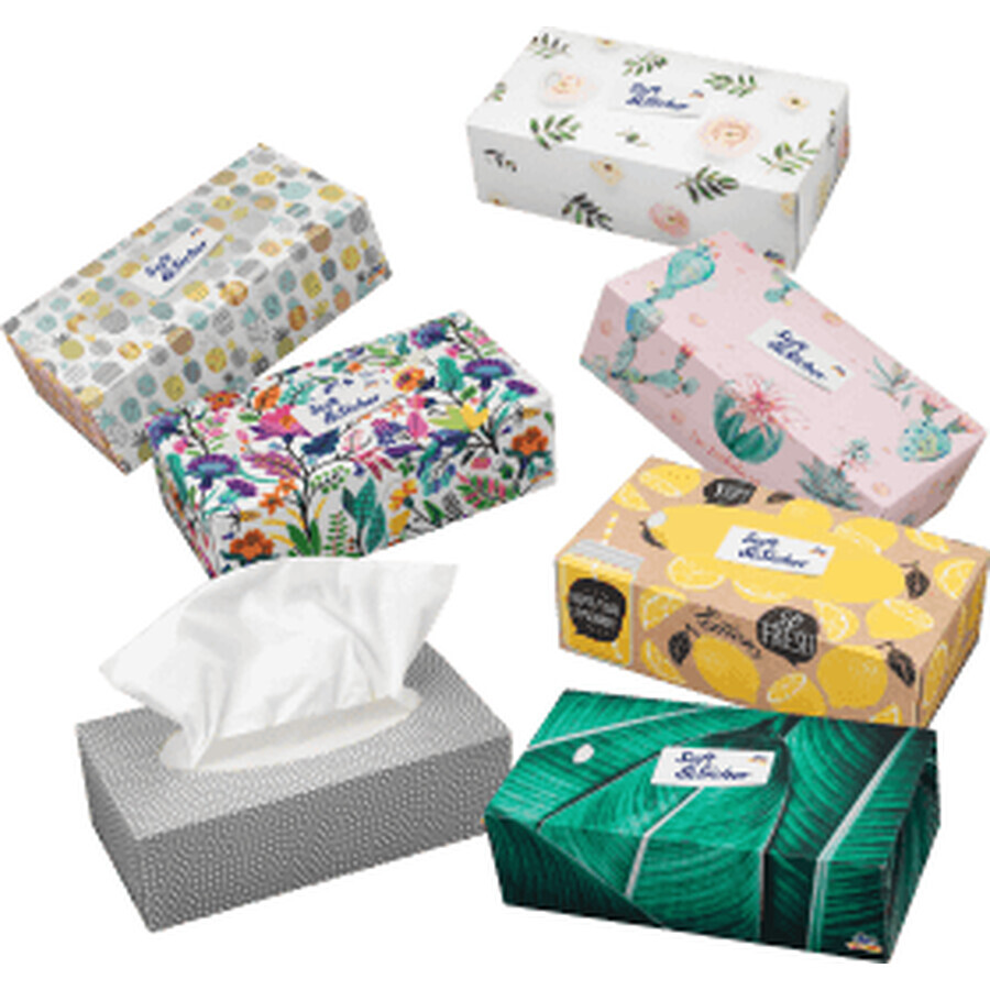 Winkel op Soft&Sicher Tissues box 100st 4-laags, 100 stuks Soft&Sicher Tissues box 100st 4-laags, 100 stuks
