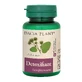 Detoxifiant, 60 tabletten, Dacia Plant