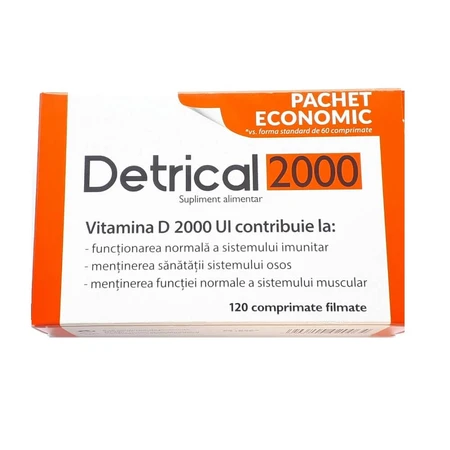 Detrical Vitamina D 2000 IE, 120 filmomhulde tabletten, Zdrovit